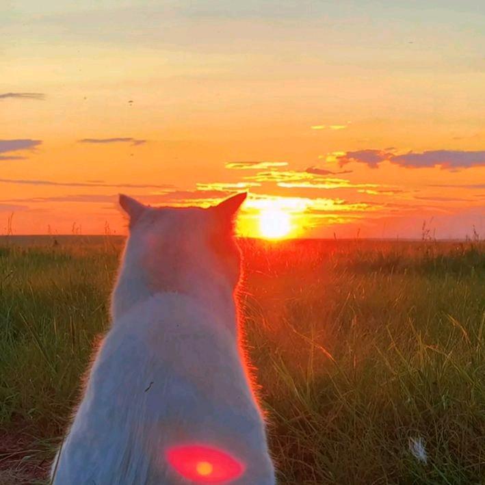 °∞°封面
