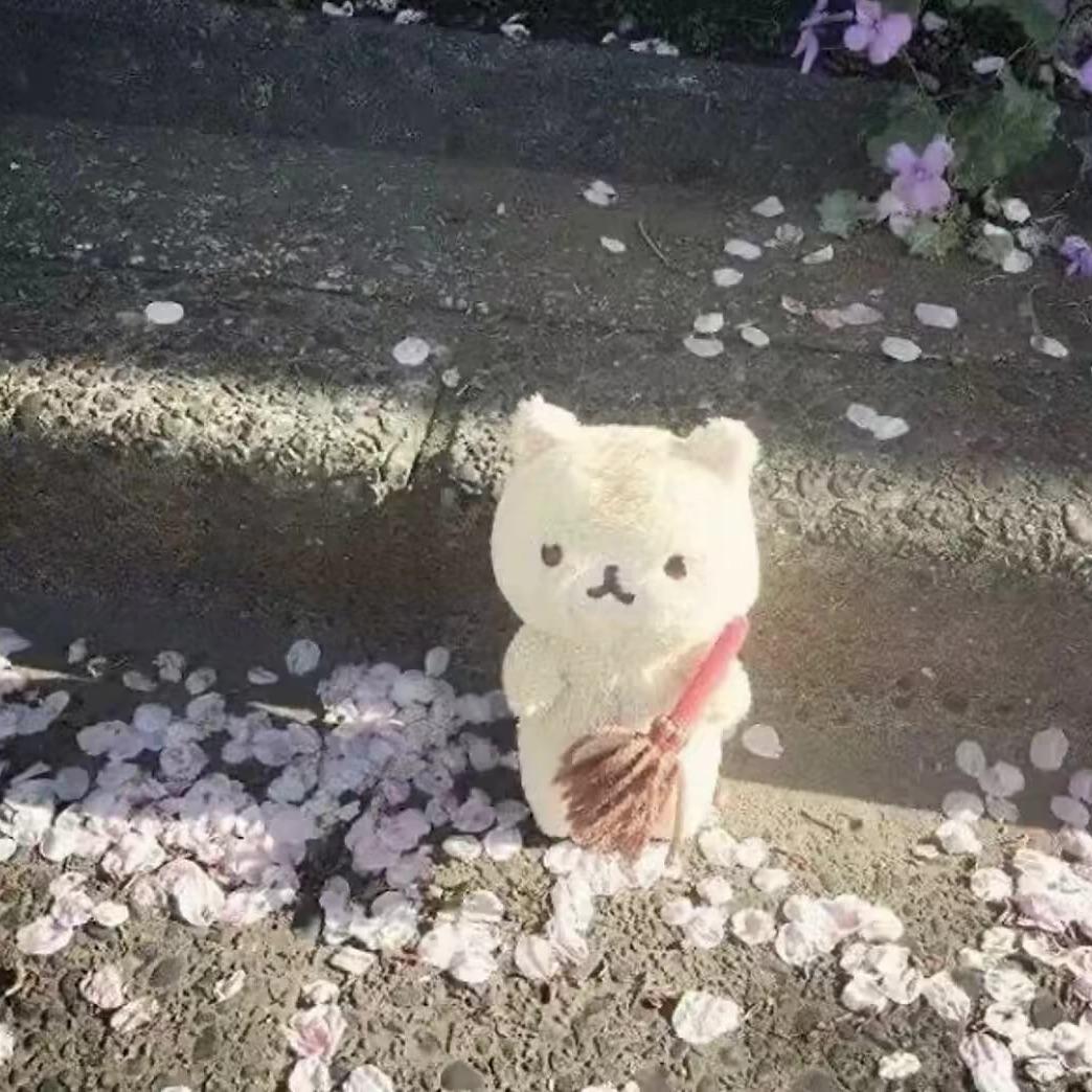 相遇太早封面