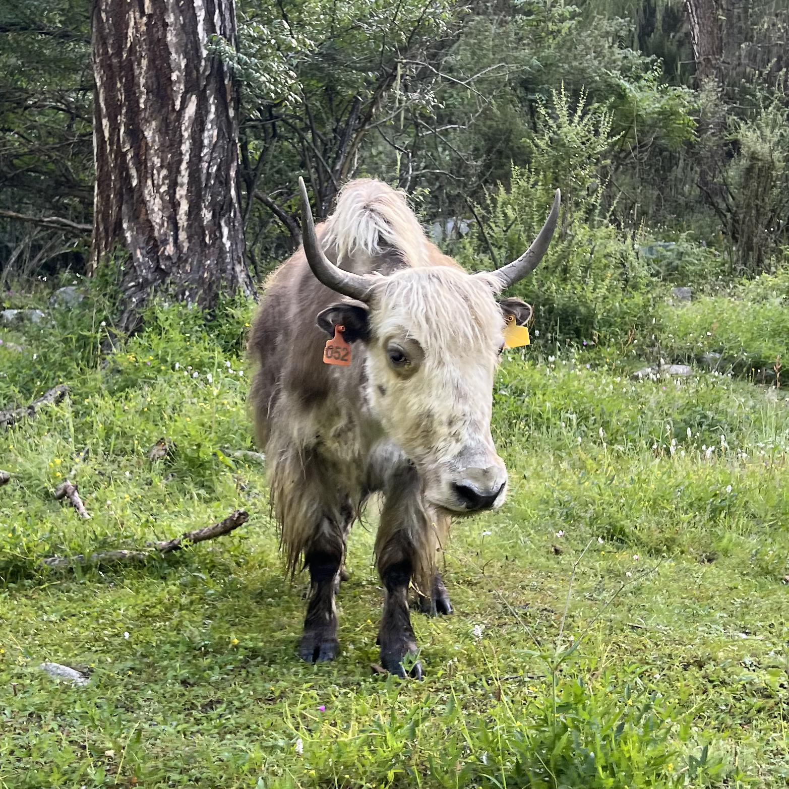 青春｜情绪 数学