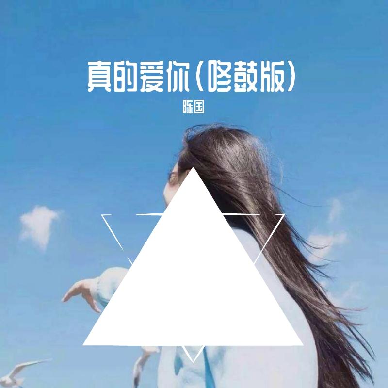 真的爱你(咚鼓版)陈国（翻自 李嘉琪） - 陈小果封面
