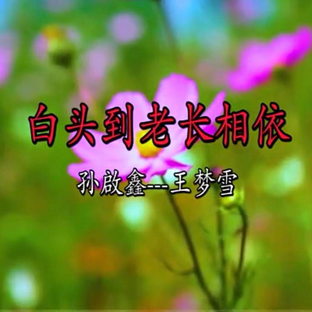 白头到老长相依_1 - 施有旭封面