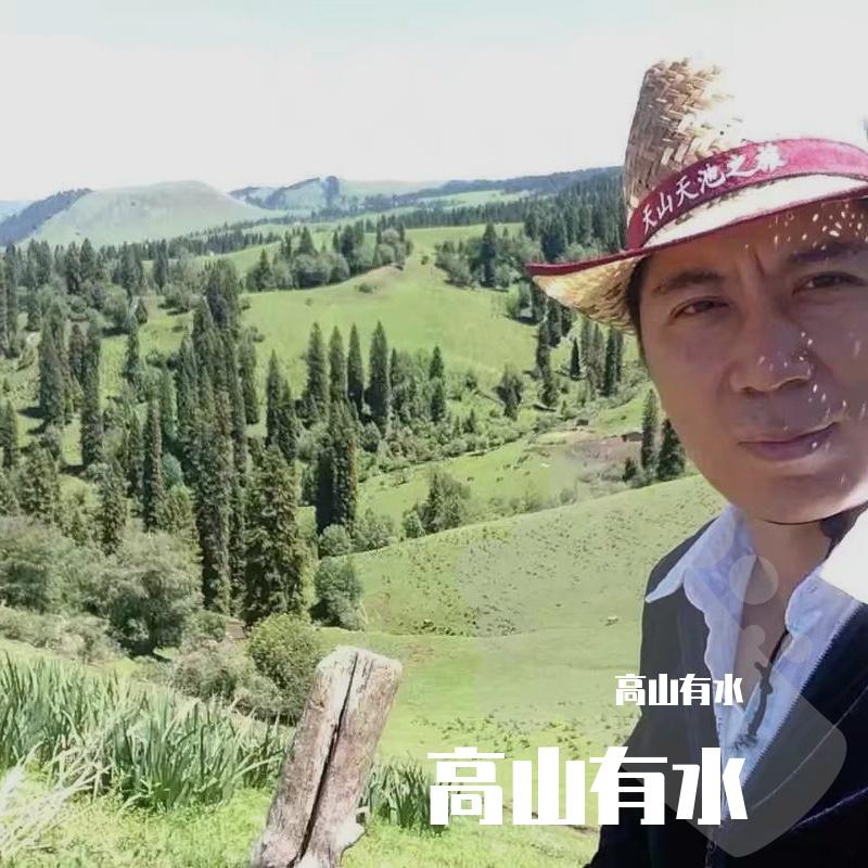 青春啊青春封面