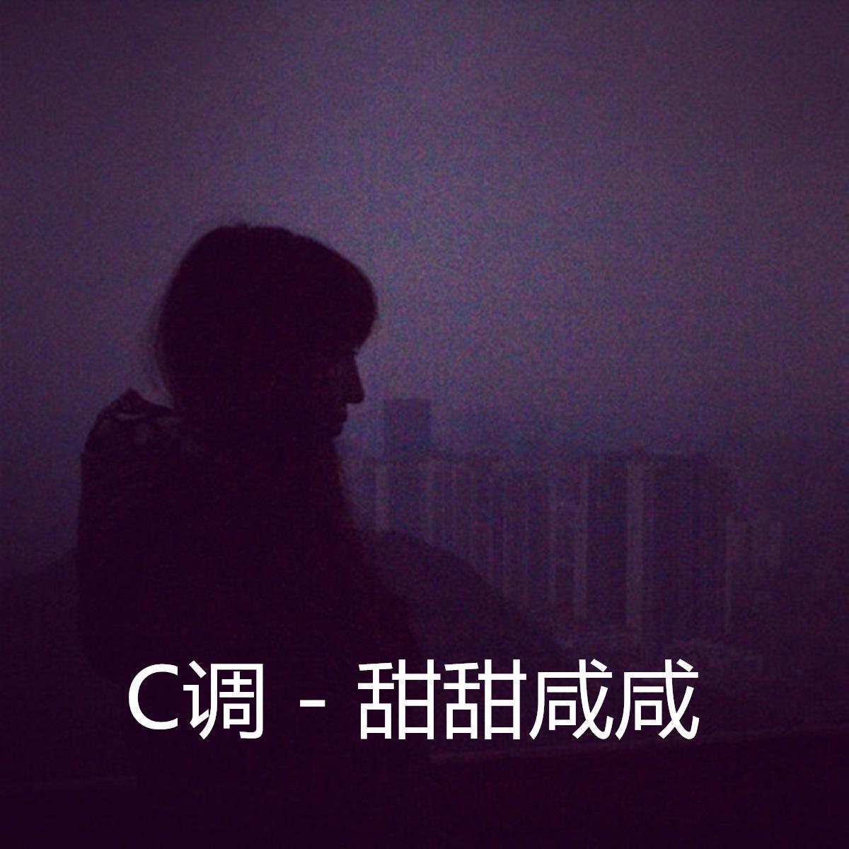 甜甜咸咸封面