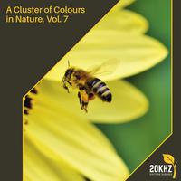A Cluster of Colours in Nature, Vol. 7