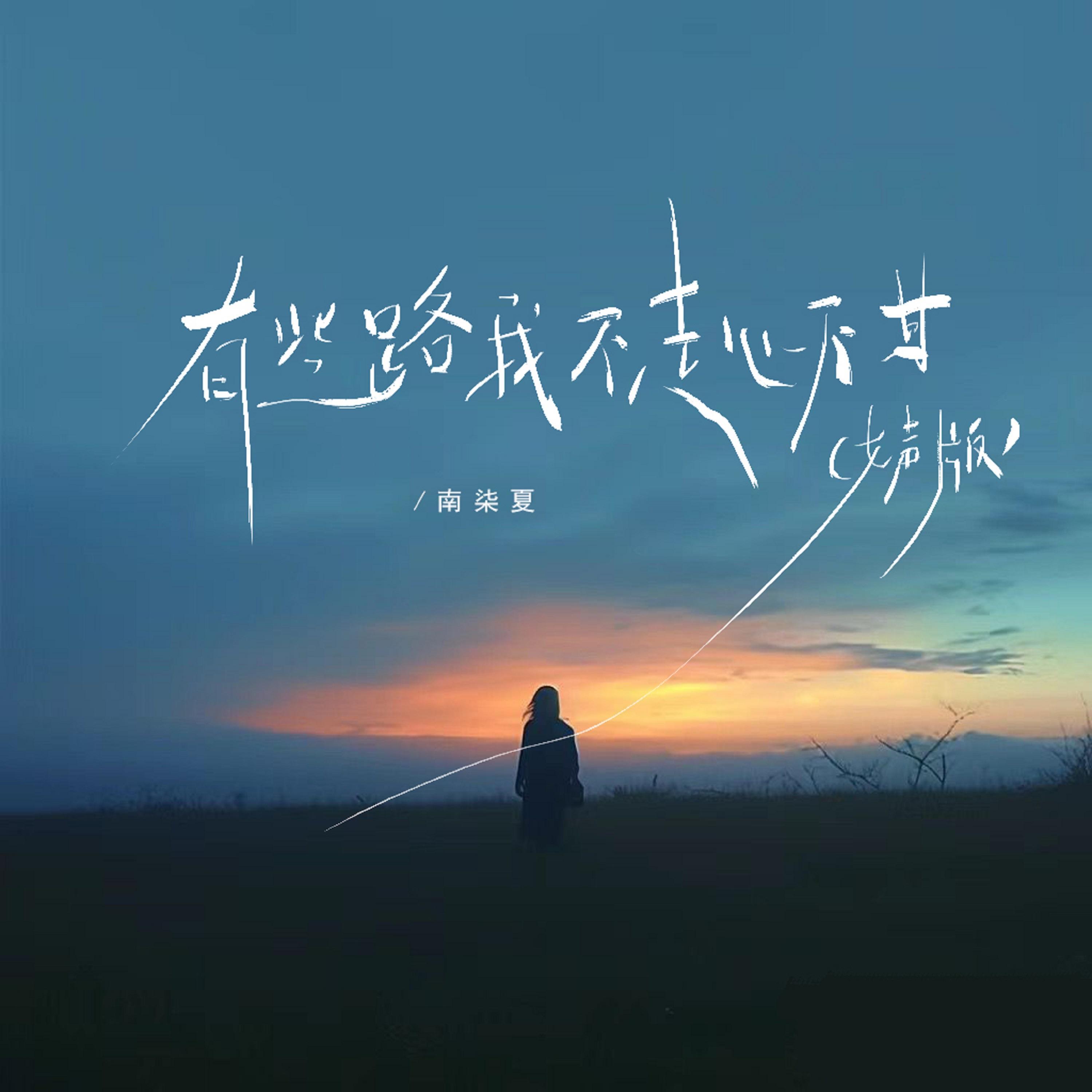 有些路我不走心不甘（0.8x版）封面