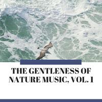 The Gentleness of Nature Music, Vol. 1