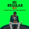 Big Zeeks - Regular Remix