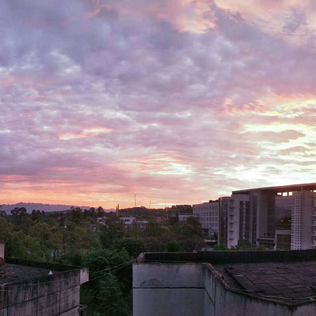 至此流年各天涯封面
