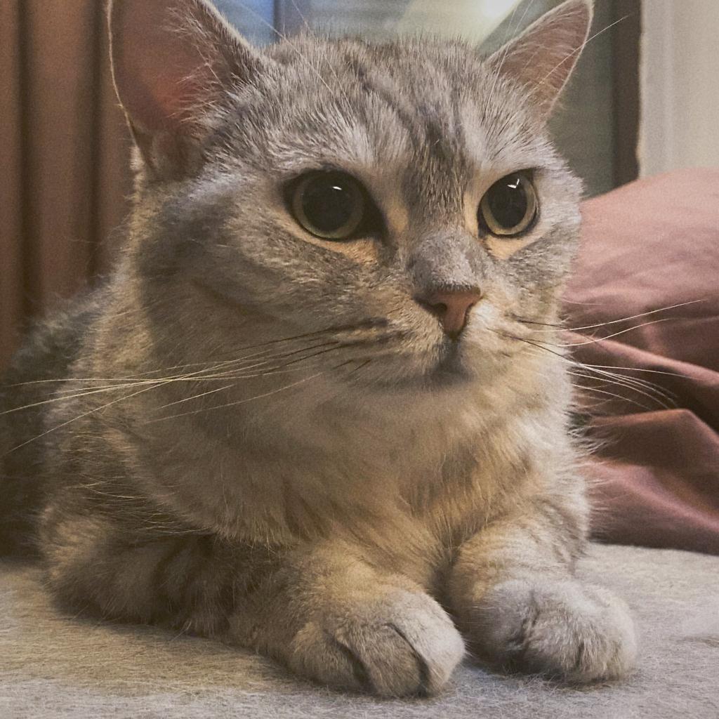 TurnMyRadioOnAndEmbraceTheSea