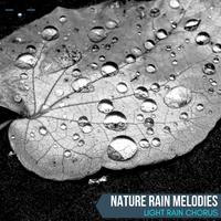 Nature Rain Melodies - Light Rain Chorus