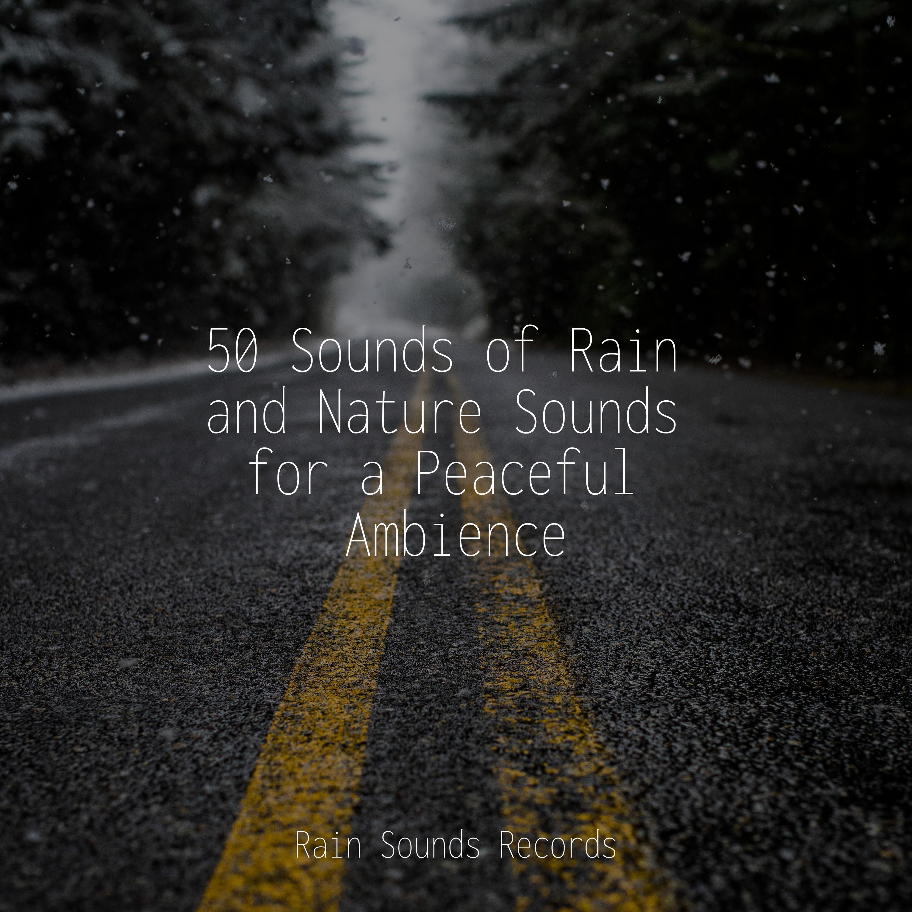 50 Sounds of Rain and Nature Sounds for a Peaceful Ambience - Zen Music ...