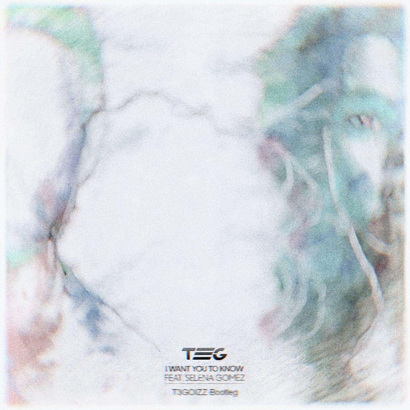 Zedd-I Want You To Know(T3GOIZZ Bootleg)（T3GOIZZ remix）