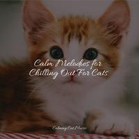 Calm Melodies for Chilling Out For Cats