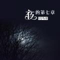 夜的第七章 (DJ版) - DJ马哥封面