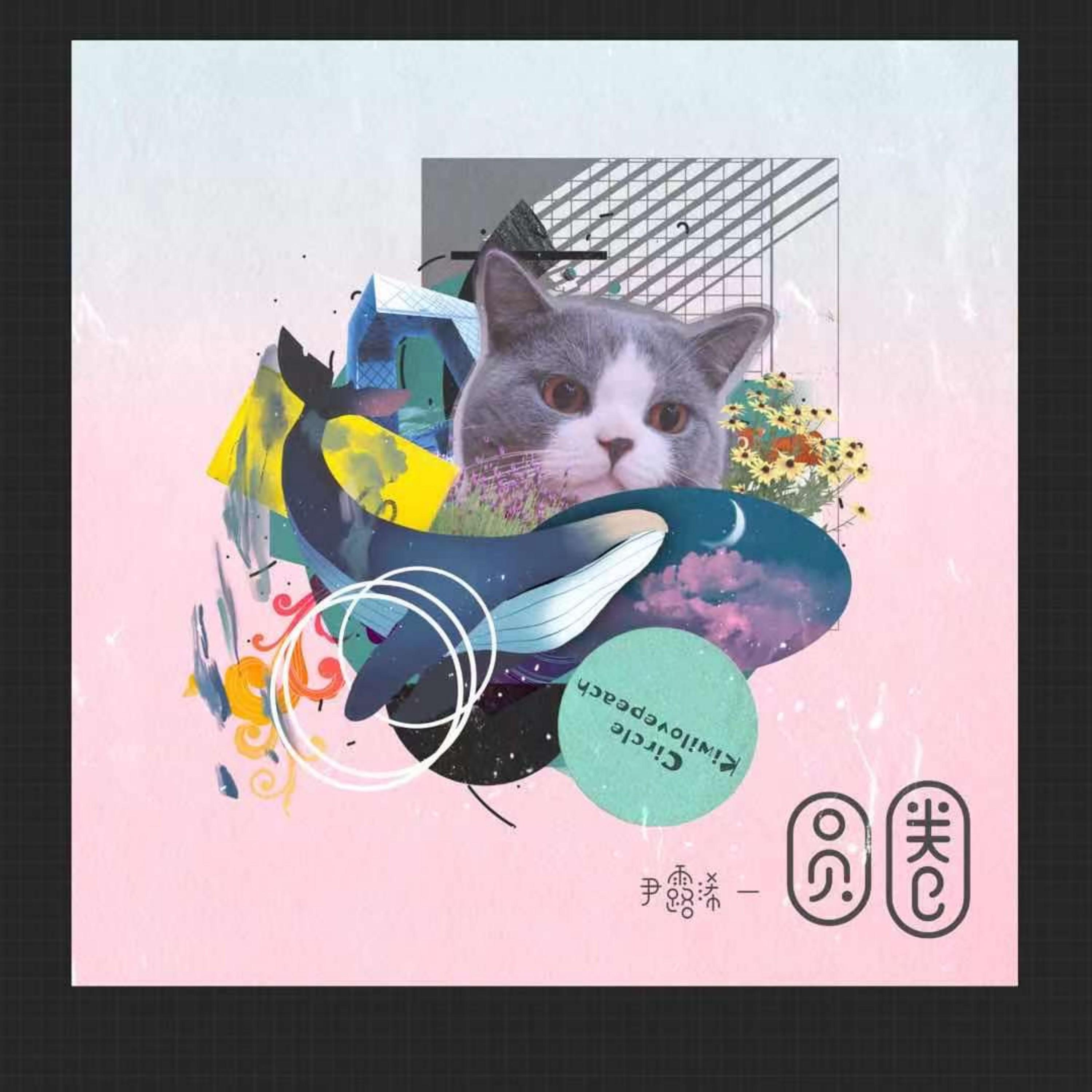 圆圈 - 陈泫孝封面