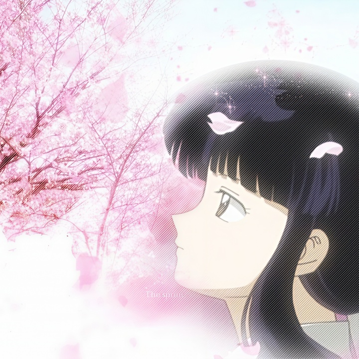 讃歌~种山が原へ（轻吉他曲）