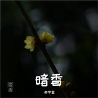 暗香