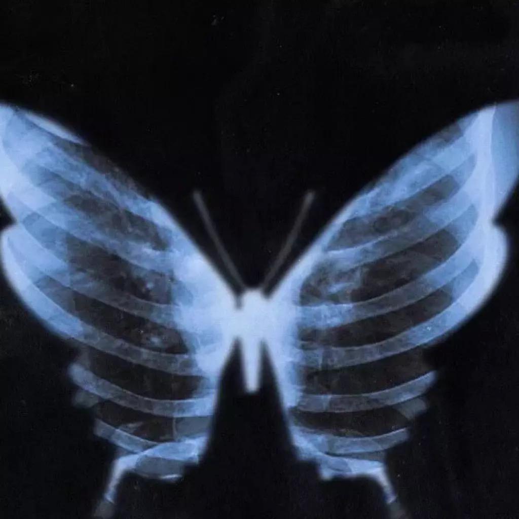 Car song list 【驾车必备节奏感】