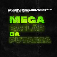 Mega Bailão da Putaria