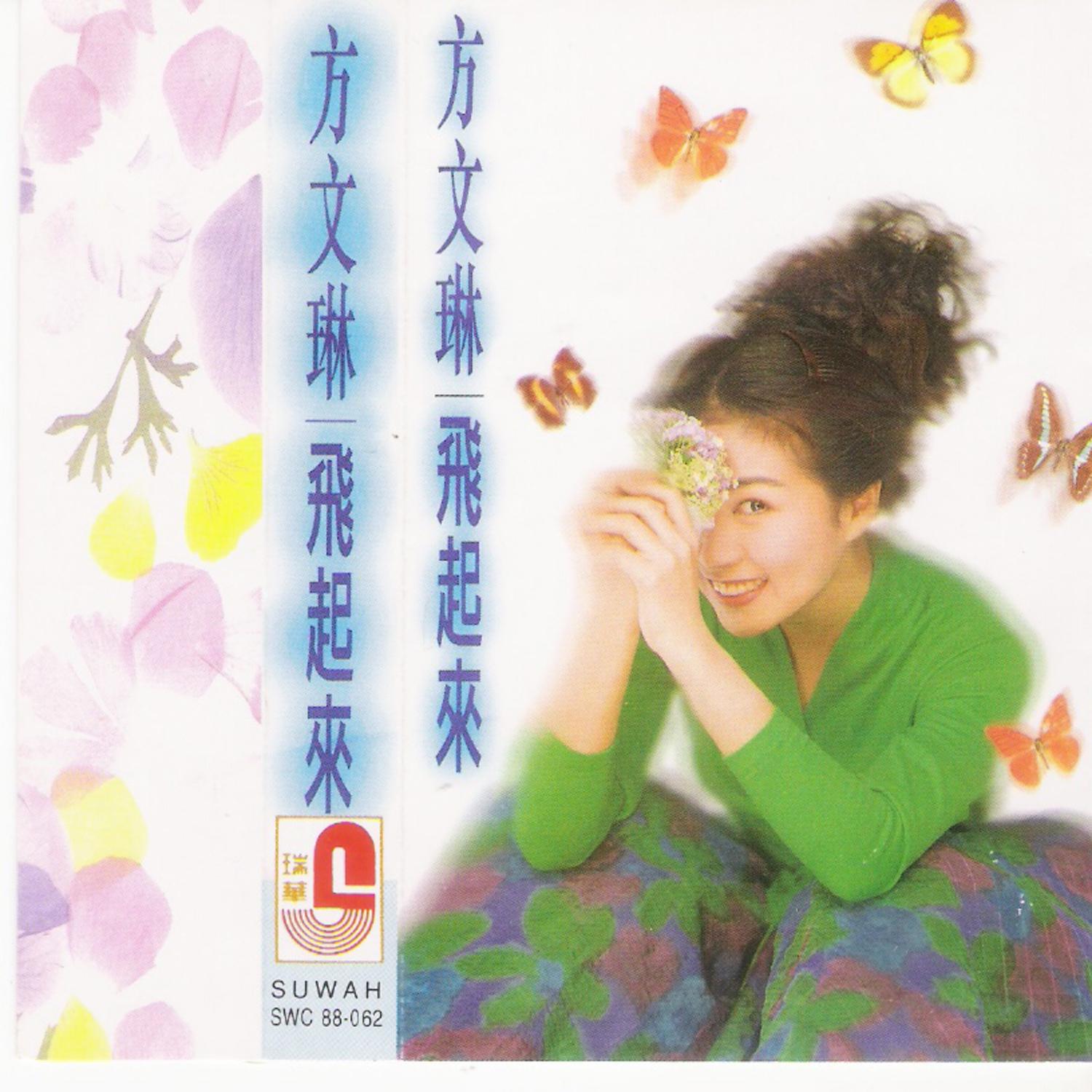 方文琳-飞起来