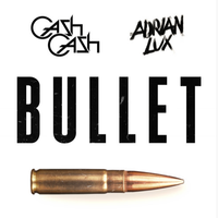 Bullet