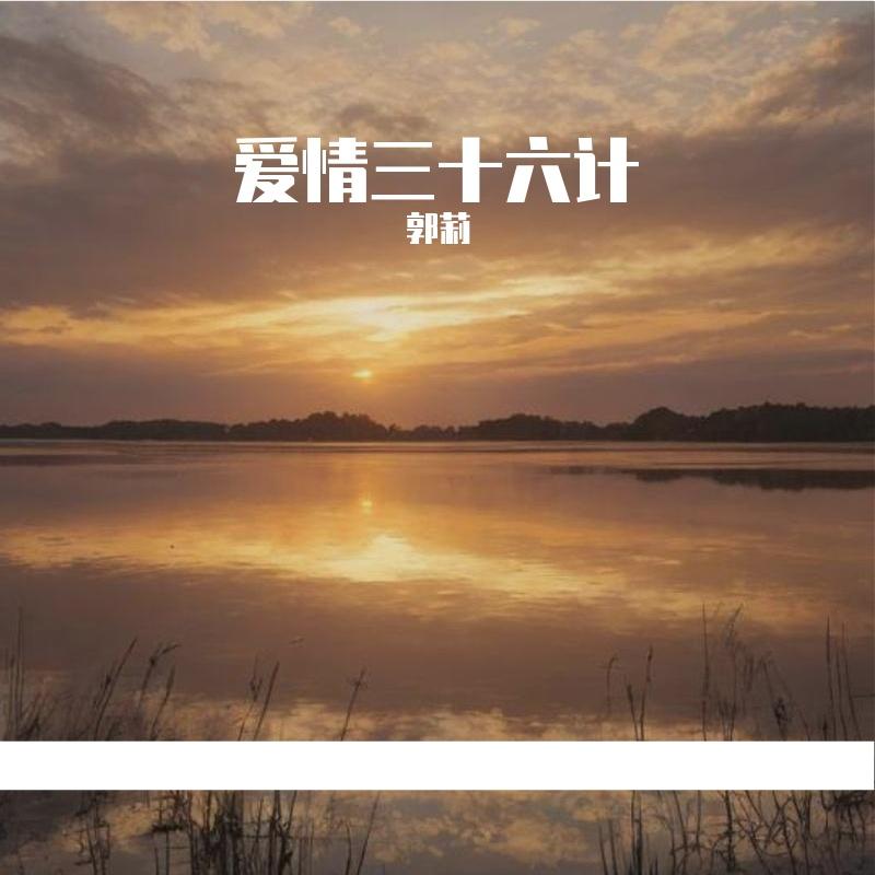 爱情三十六计封面