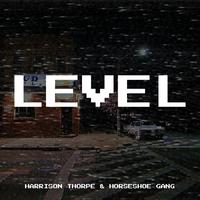 Level