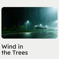 Wind in the Trees