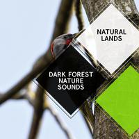 Dark Forest Nature Sounds - Natural Lands