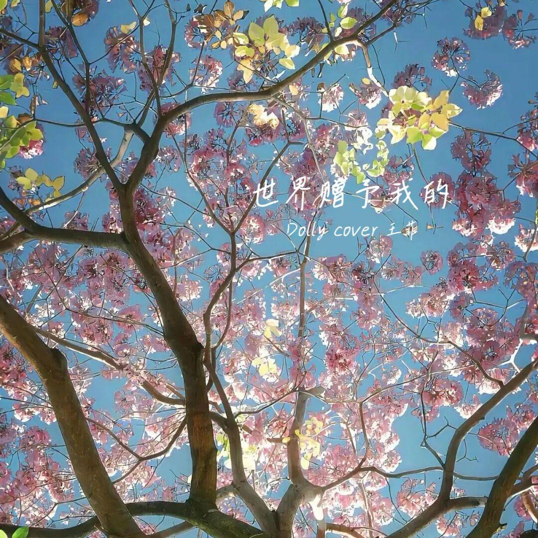 世界赠予我的（童声版） - Dolly、SHaNE_Z_封面