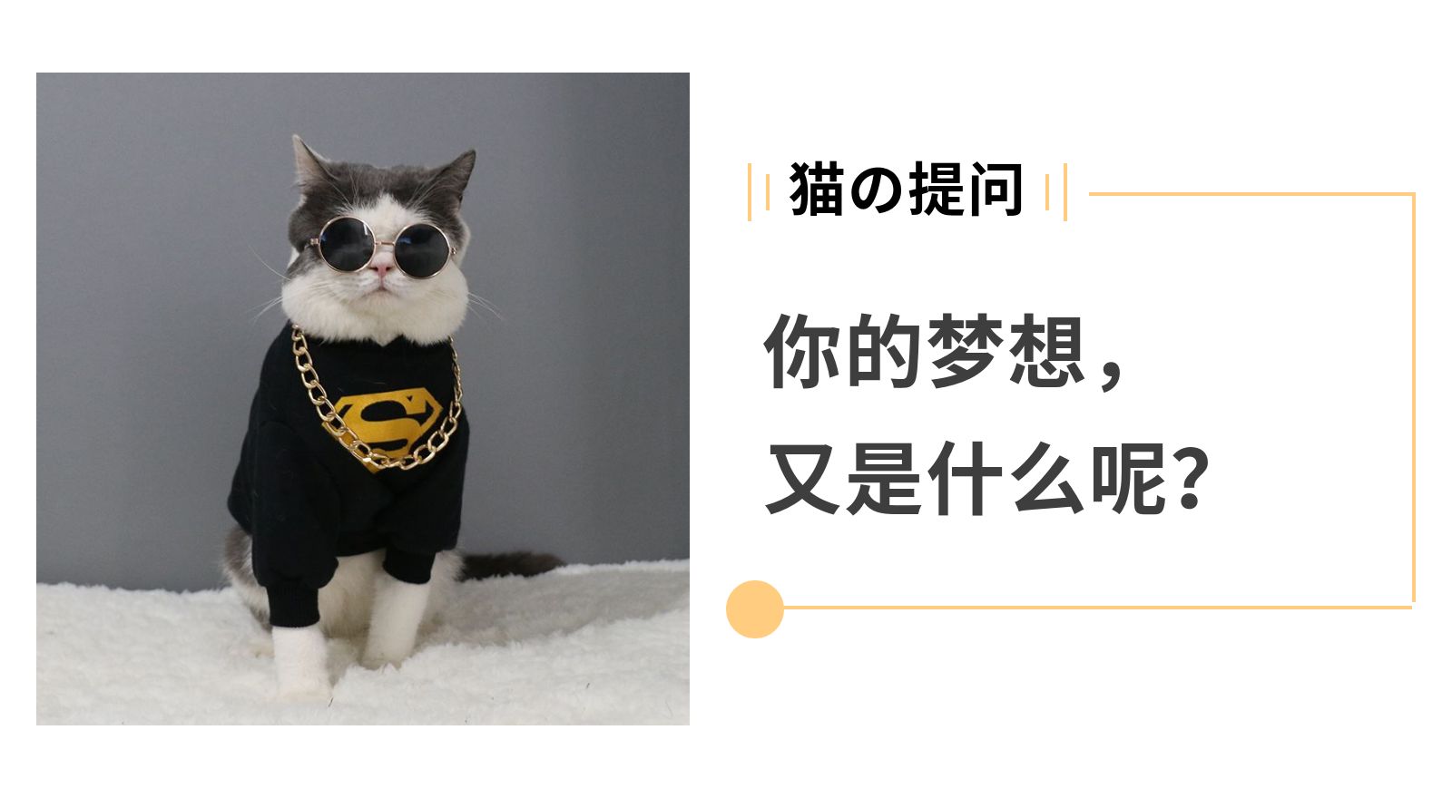 猫咪的梦想简谱_最初的梦想简谱(2)