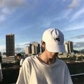 青木林里青木秧封面