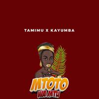Tamimu资料,Tamimu最新歌曲,TamimuMV视频,Tamimu音乐专辑,Tamimu好听的歌