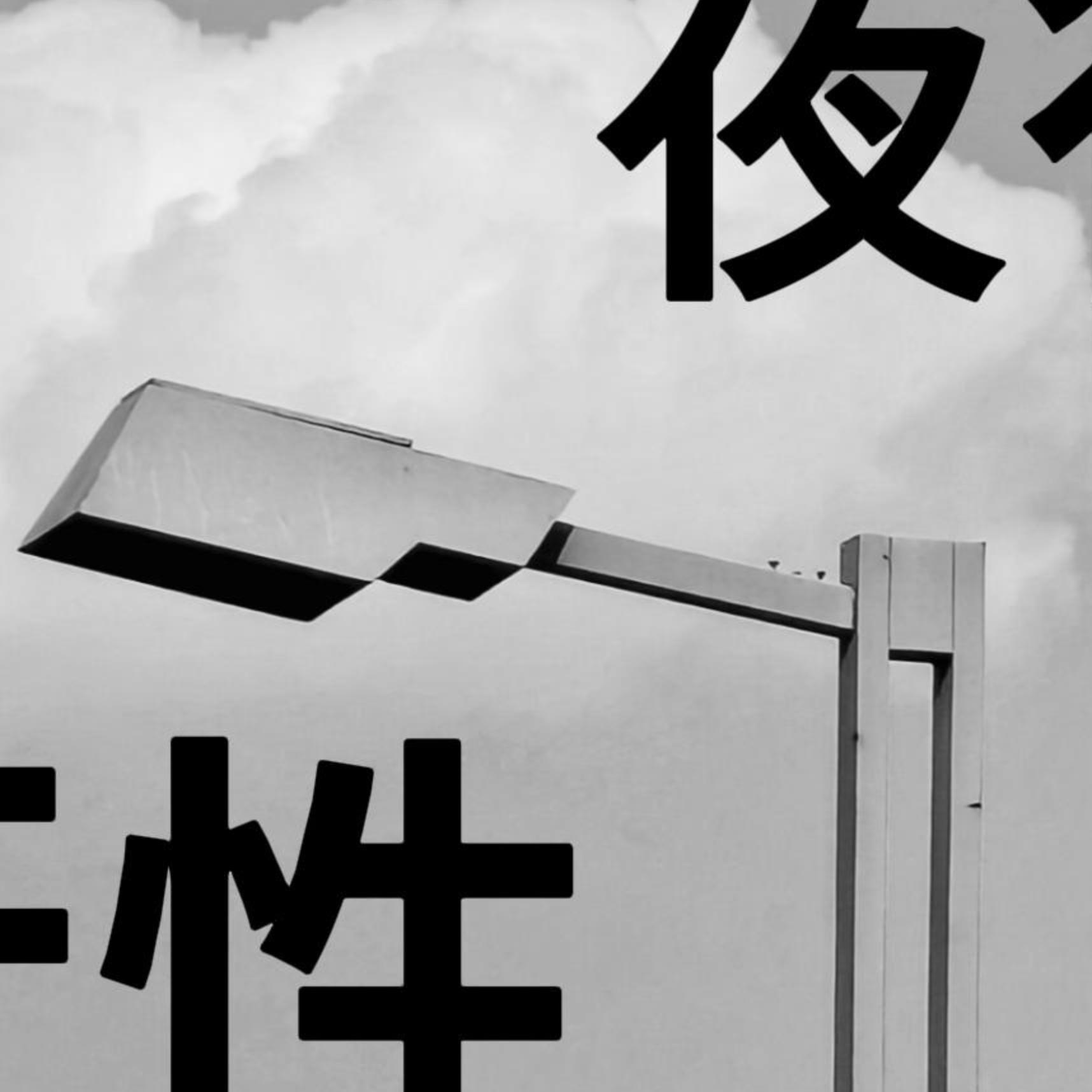 夜行性
