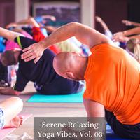 Serene Relaxing Yoga Vibes, Vol. 03