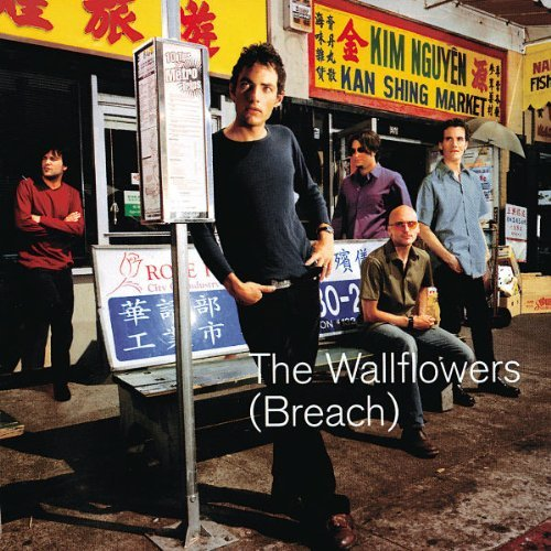 hand-me-down-the-wallflowers