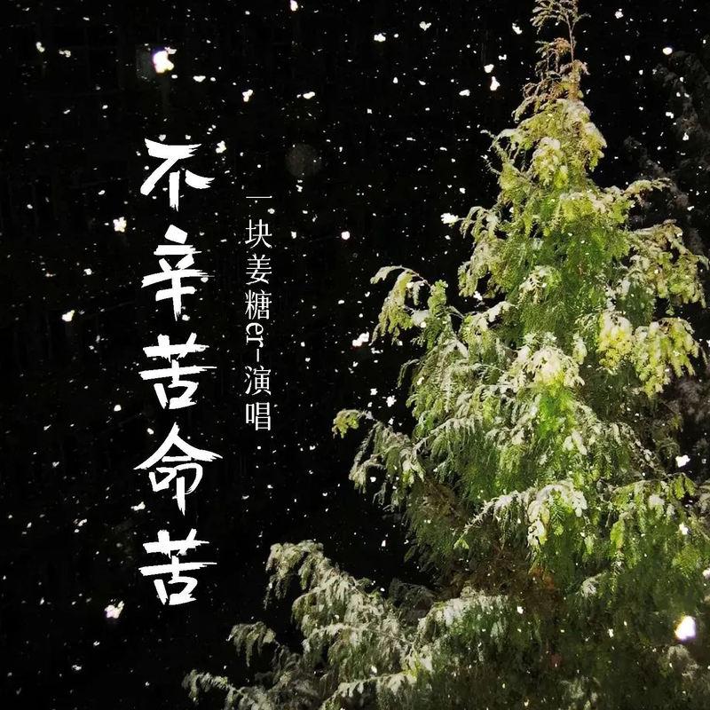 不辛苦命苦 (伴奏)封面