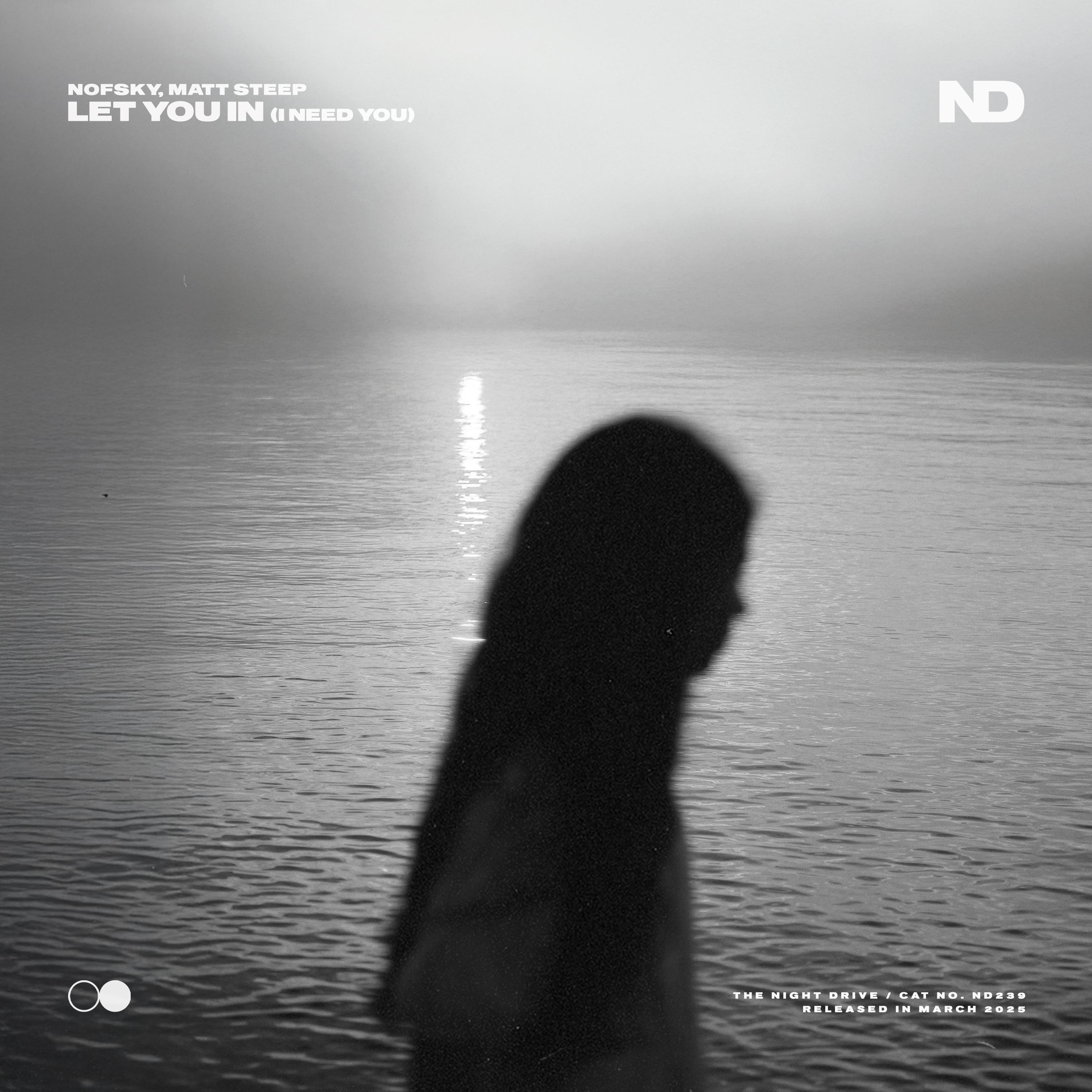 Let You In (I Need You)