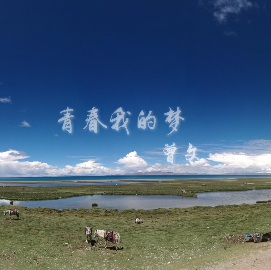 青青我的梦 - 曾文封面