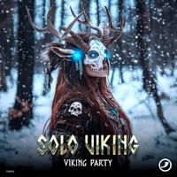 Viking Party