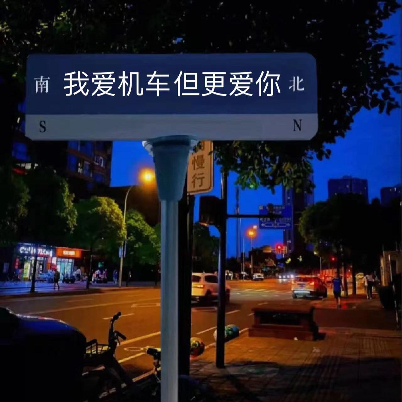 独居动物封面