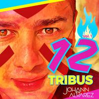 12 Tribus, Vol. 1