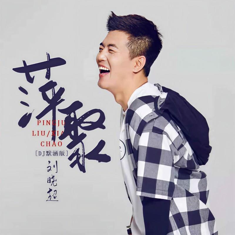 萍聚 (DJ默涵版) - 刘晓超封面