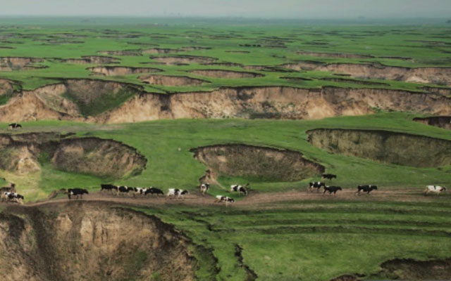别让美丽大草原真成了记忆!战旗乐队新单曲带