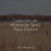 Colección de Música de Spa | Para Dormir