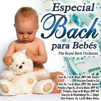 Especial Bach para Bebes