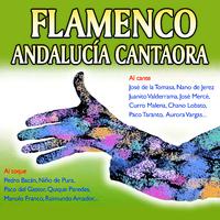 Flamenco. Andalucía Cantaora