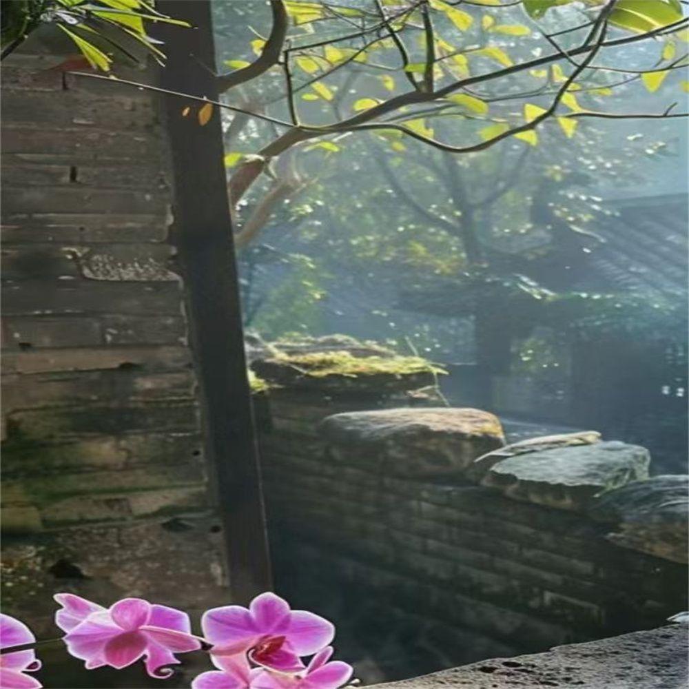 爱的第一秒封面