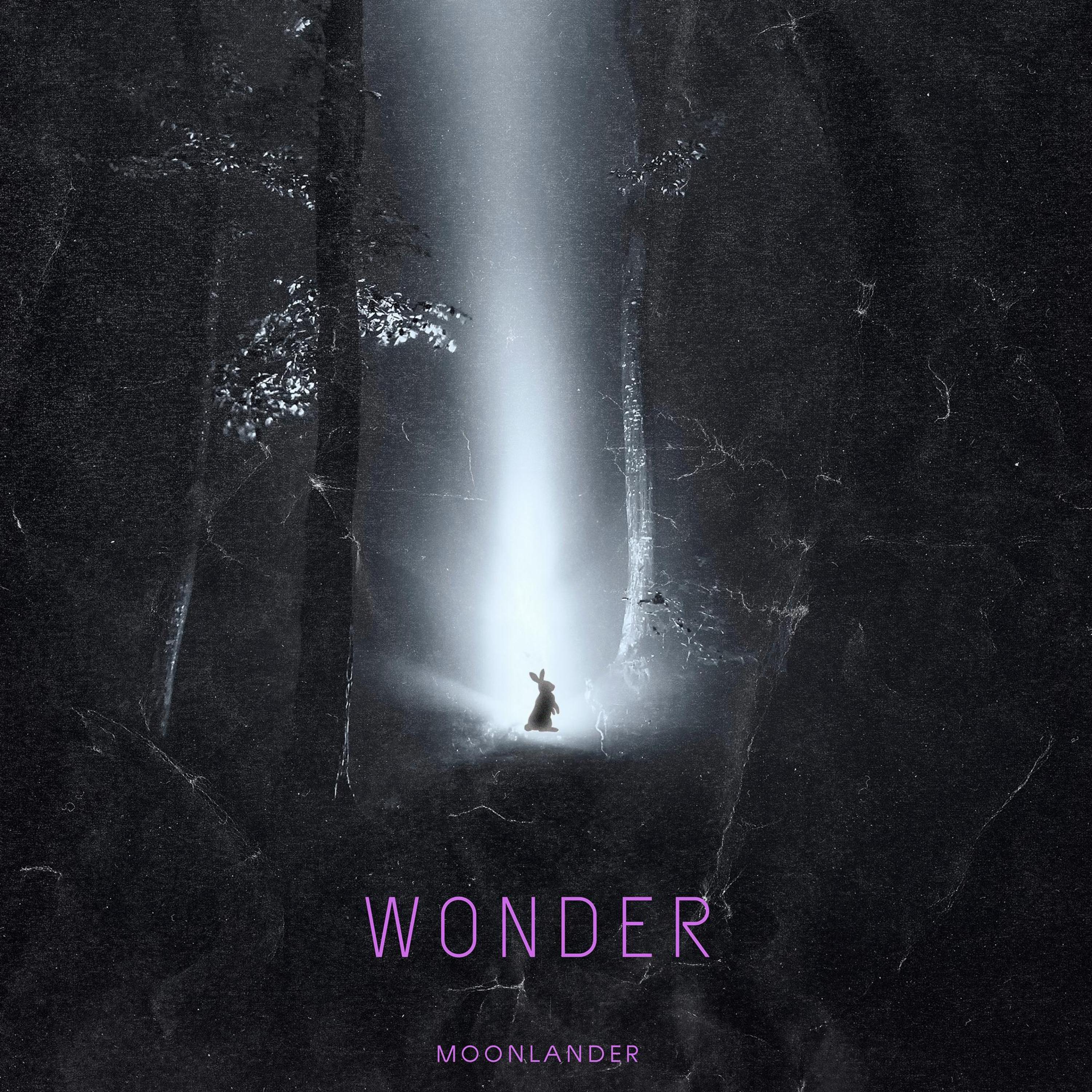 WONDER