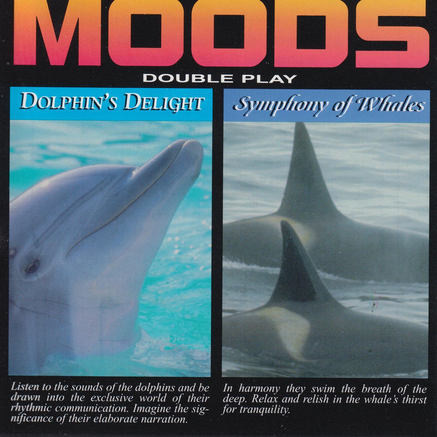 Dolphins封面